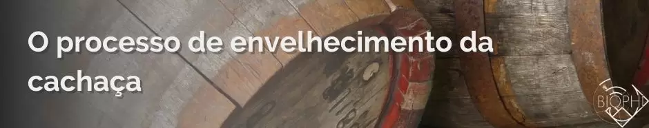 No momento, você está visualizando O processo de envelhecimento da cachaça