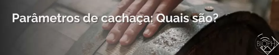No momento, você está visualizando Parâmetros da cachaça: Quais são?