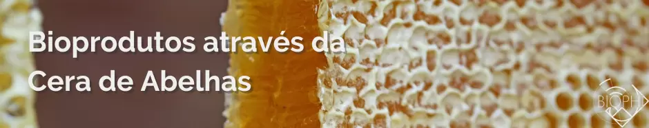 Leia mais sobre o artigo Bioprodutos Através da Cera de Abelhas